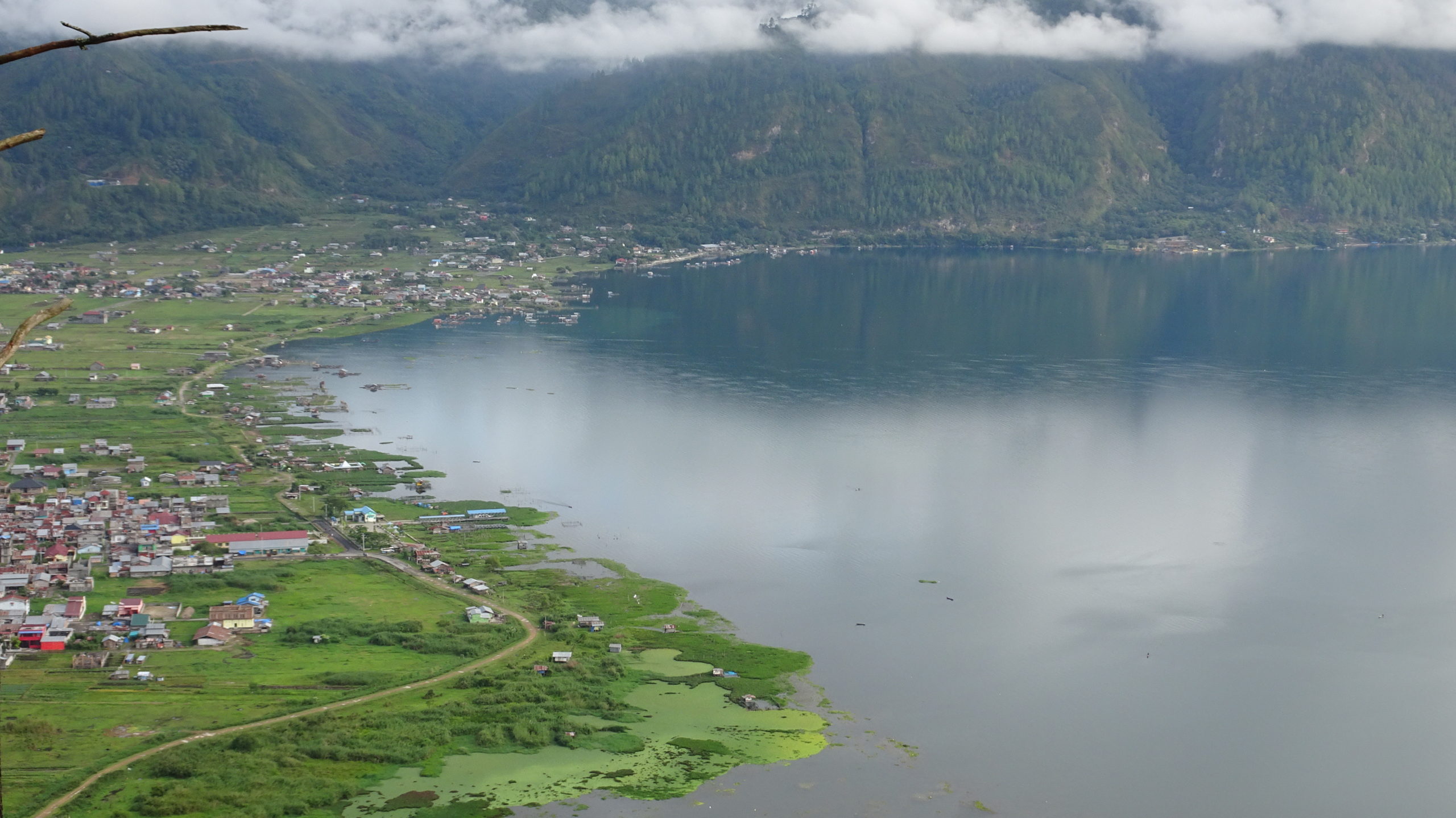 コーヒーとSDGs｜サステナブルコーヒーとフェアトレードの取り組みを解説